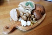 calories in mushrooms